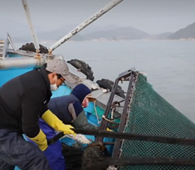 [6시 내고향] 쫄깃쫄깃한 국민 반찬 새꼬막